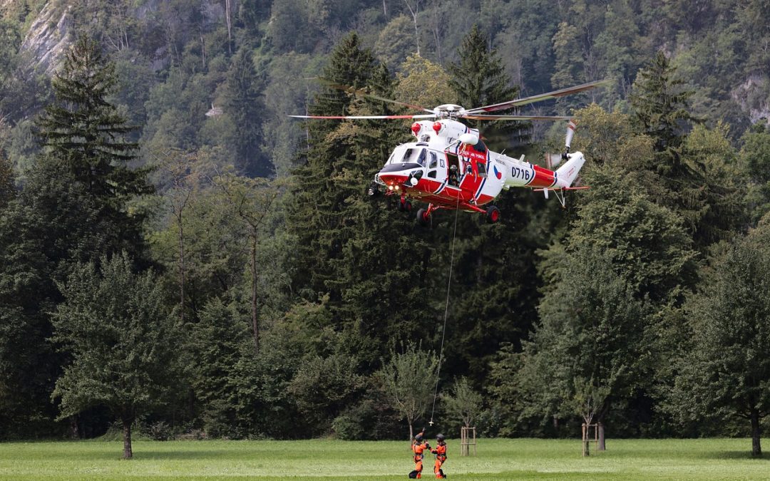 Dinas Damkar Tanah Laut Evakuasi Ular di Kantor Walikota